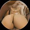 huruki_7