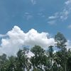 rakib.mojumdar1