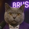 CAT STORY - BRUSIK