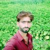 saeed.solangi779