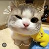 _elsyaa_11