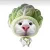 mdsocute._