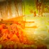 aung.min1099