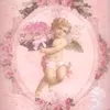 lina_biscuit