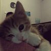 bubblesyie_35