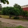 rana.sajjad.313