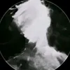 zx.zoi4