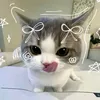 _cyd0