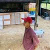 hinine.htet