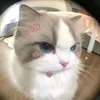 gocnhocuaminh02