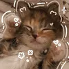 aaliyah_syed44445