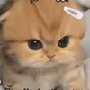z___cczzz