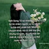 phng.2k5.ng.yu