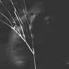 santana_xxtz