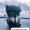 labu_teamchik