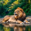 nature.king191