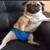 willywonk677
