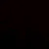 casy.casyana8