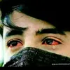 user80002700015143