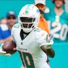 jose_a_dolphinsfan1