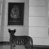 rama_9144
