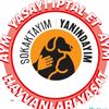 fatma_kocaeli41