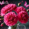 mandeep95388