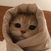 tnyverse