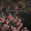gulii_mn2025