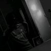 davipaiva52