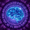Mind Patch