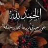 user37550180797951