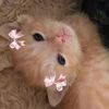 defnotmelanie725