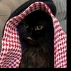ahmed.altameemi82