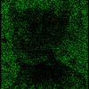 glitch_known1