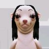 lologirl73