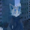 shirocards