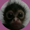 .imsara09