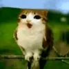 santinator_120t