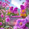 en.jok.ai.tong5