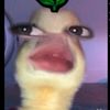 hai_put83