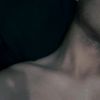 fern_1027