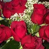alili.abadu