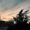 lanashiref0