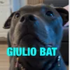 giulio.bat