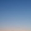 butterflyskies16