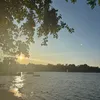 max_08433