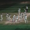cricket.265