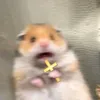 caidochuikhonglaihahaha