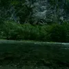 kamiltuhxed